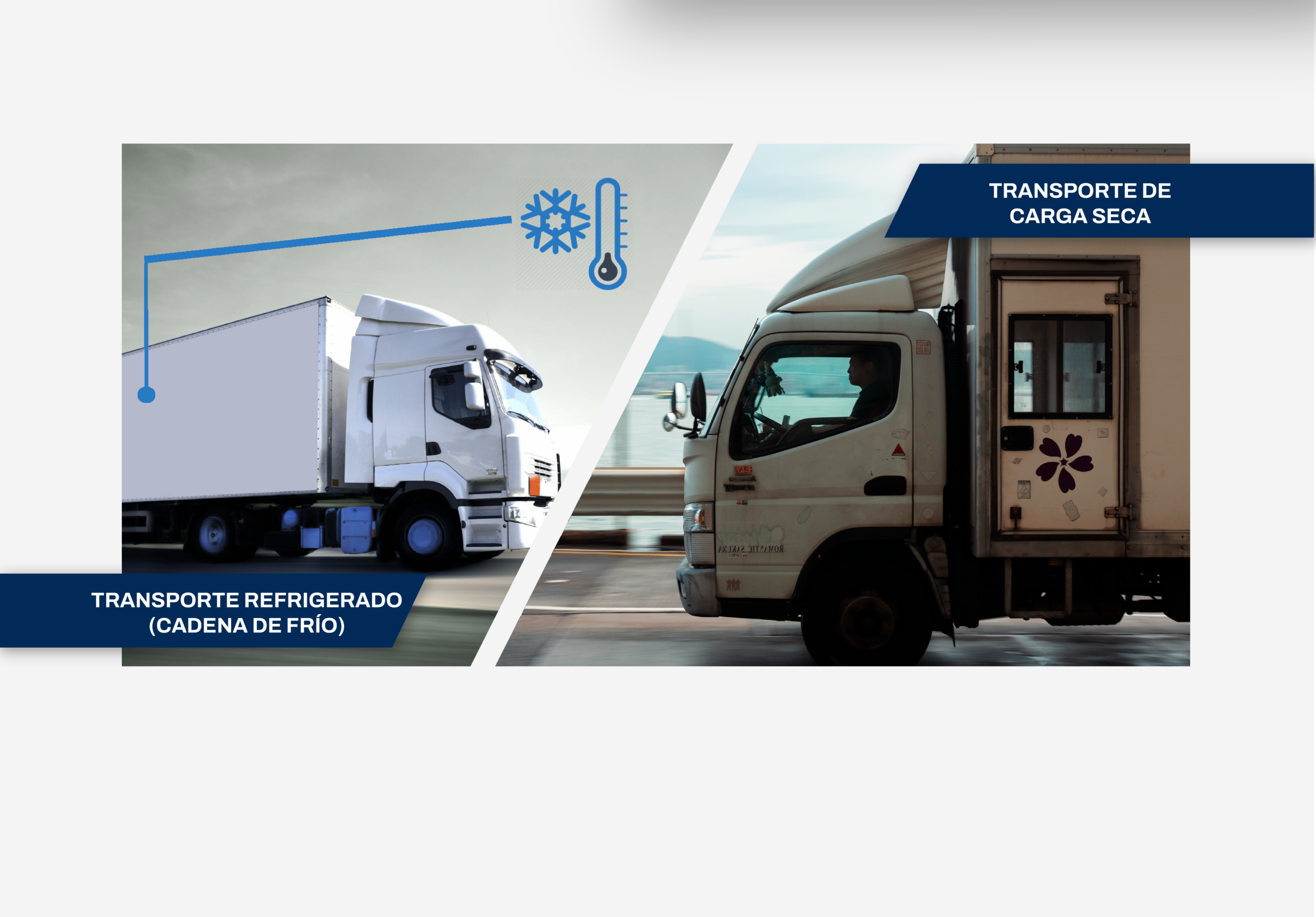 servicios